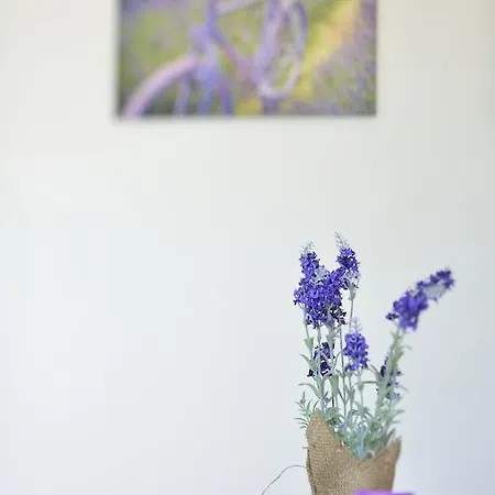 מלון דירות Serenella דיאנו מרינה