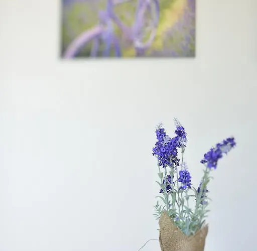 Aparthotel Serenella Diano Marina